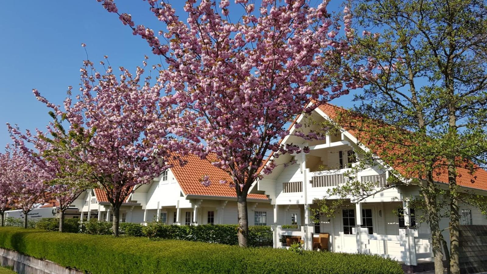 Holiday Park Dennenbos Oostkapelle Esterno foto