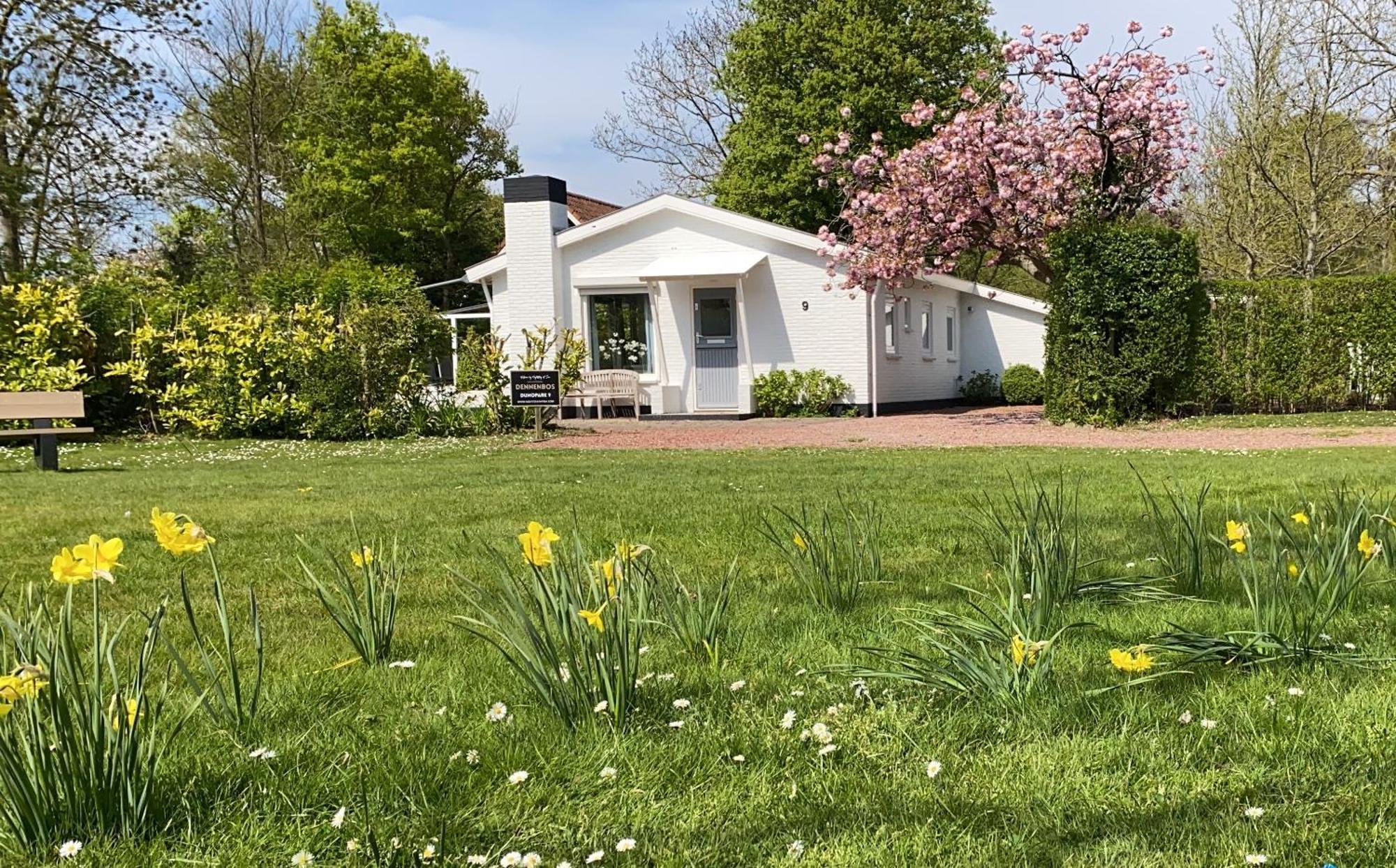 Holiday Park Dennenbos Oostkapelle Esterno foto