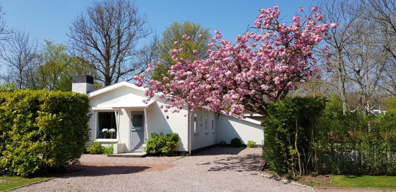 Holiday Park Dennenbos Oostkapelle Esterno foto
